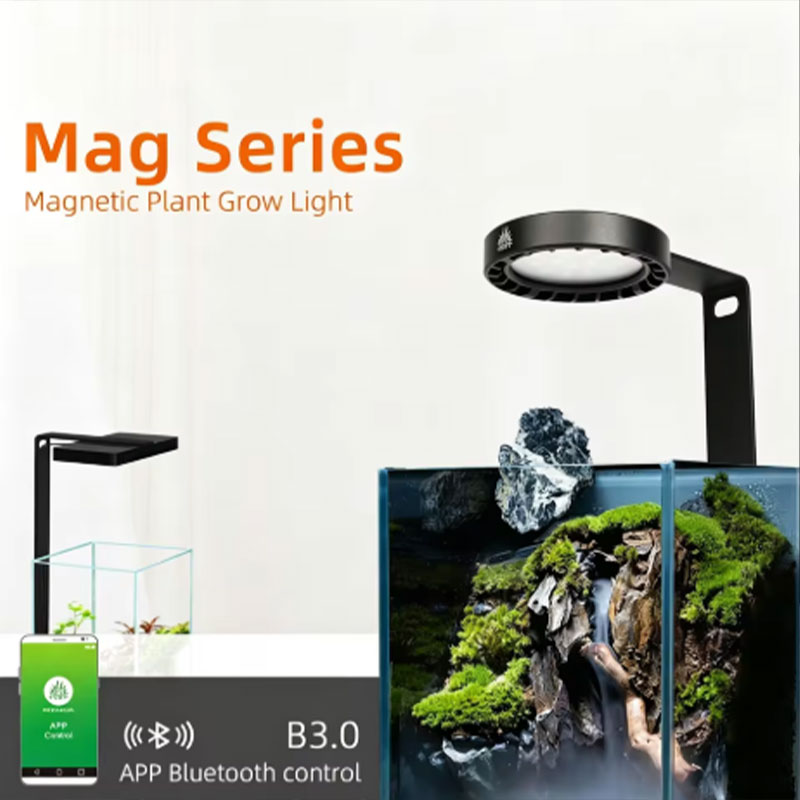 Plant Parent App - Sunsun Hộp Thay Thế Lõi Lọc