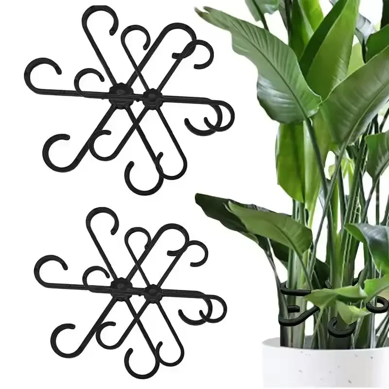 Variegated Monstera Node - Stem Support Alocasia Monstera Leaf Supports