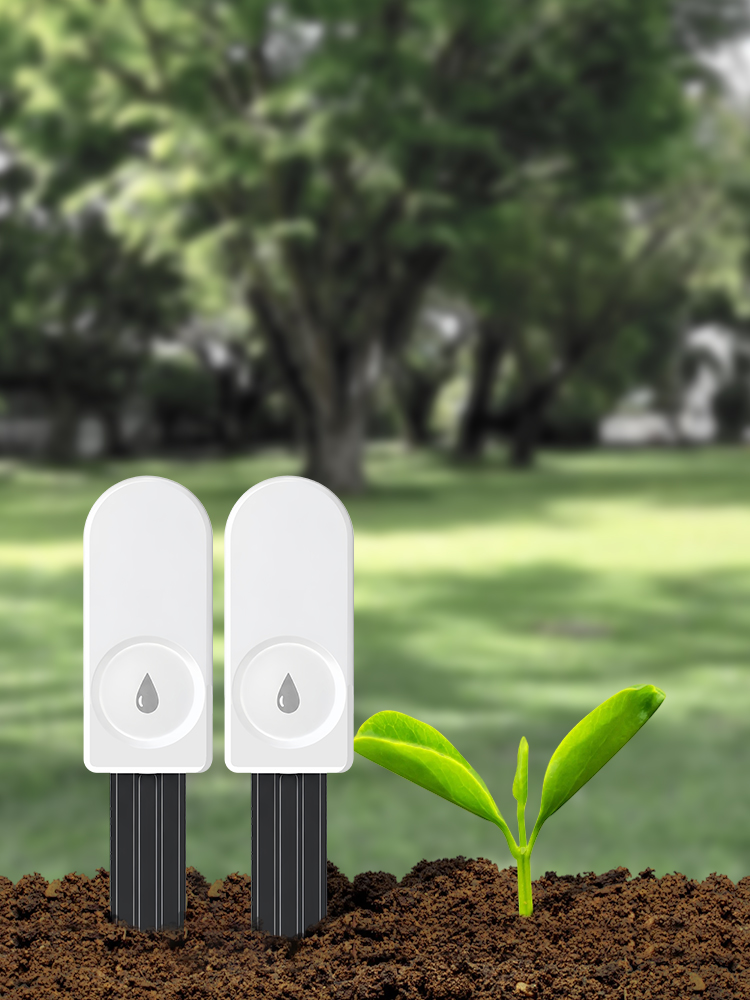 Smart ZigBee Soil Moisture Sen - đánh giá và giá Plant Parent App