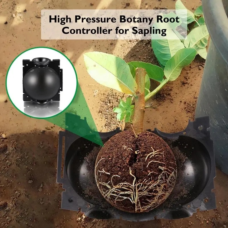 5/30Pcs Plant Rooting Ball Gra - đánh giá và giá Plant Parents