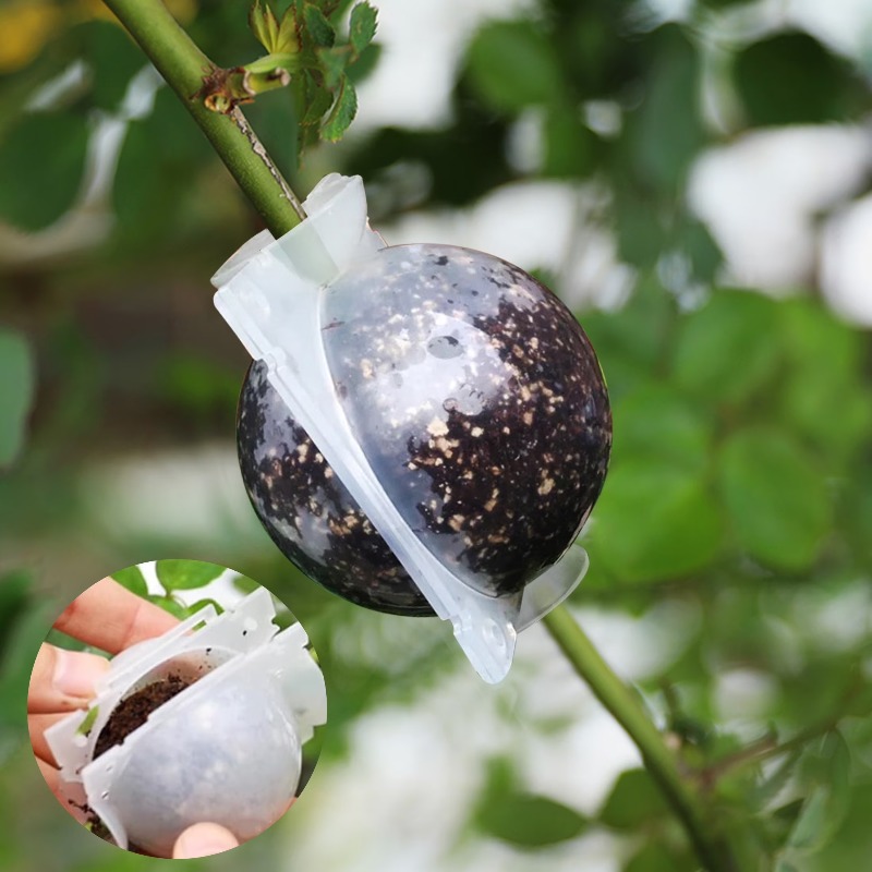 5/30Pcs Plant Rooting Ball Gra - đánh giá và giá Plant Parents