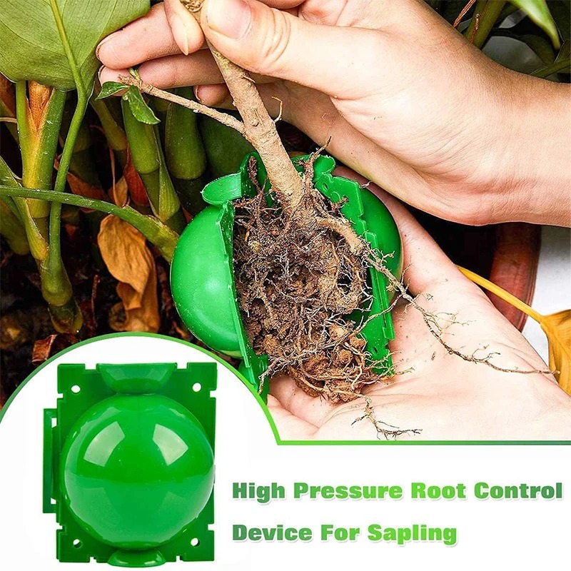 5/30Pcs Plant Rooting Ball Gra - đánh giá và giá Plant Parents