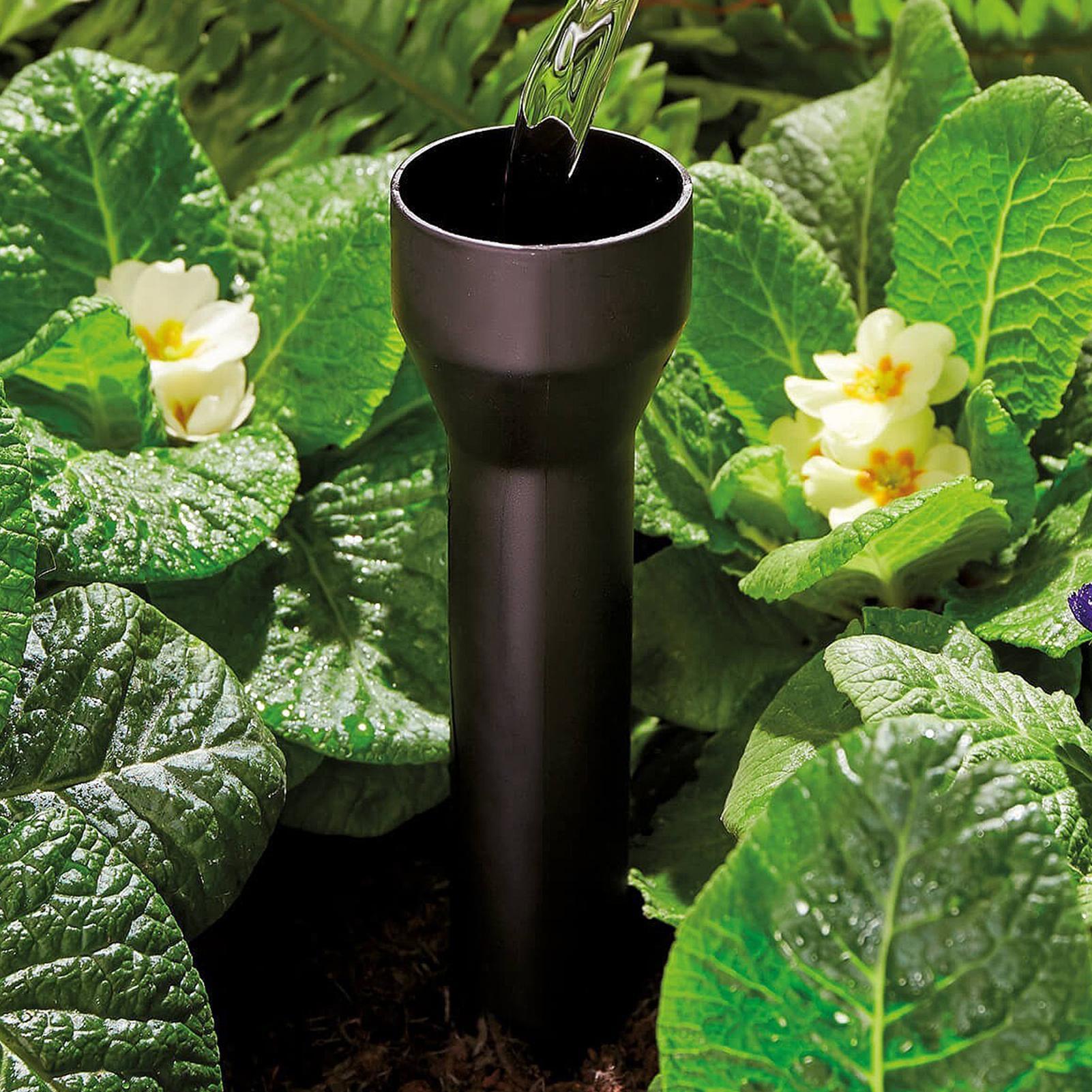 Garden Watering Spikes 3 Pack  - đánh giá và giá Plant Parents