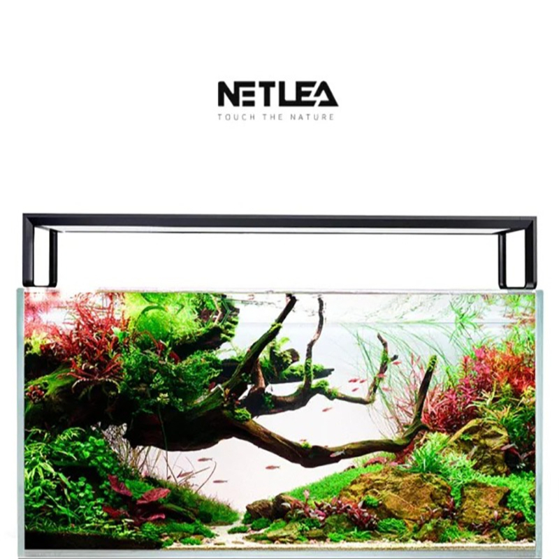 Netlea AT5S V3 Smart Wifi APP  - đánh giá và giá Plant Parent App