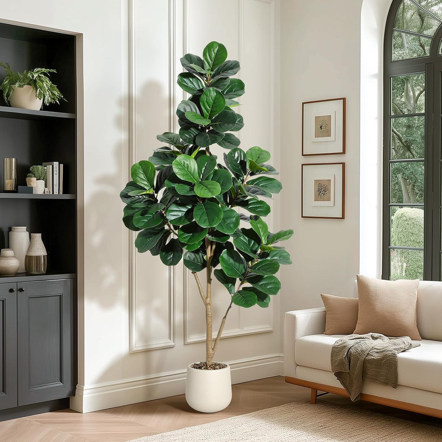4-7 FT Fiddle Leaf Fig Tree Ar - đánh giá và giá Plant Parents