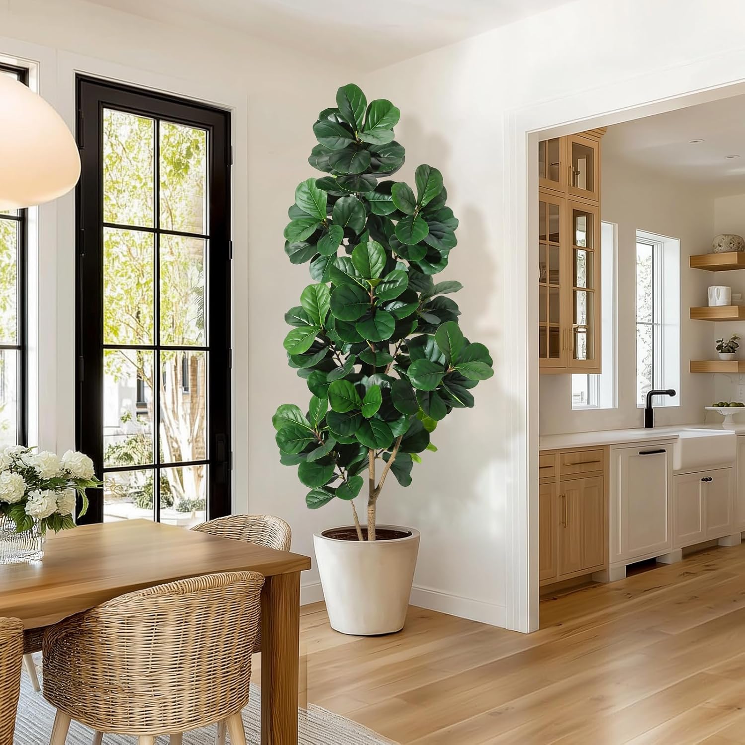 4-7 FT Fiddle Leaf Fig Tree Ar - đánh giá và giá Plant Parents