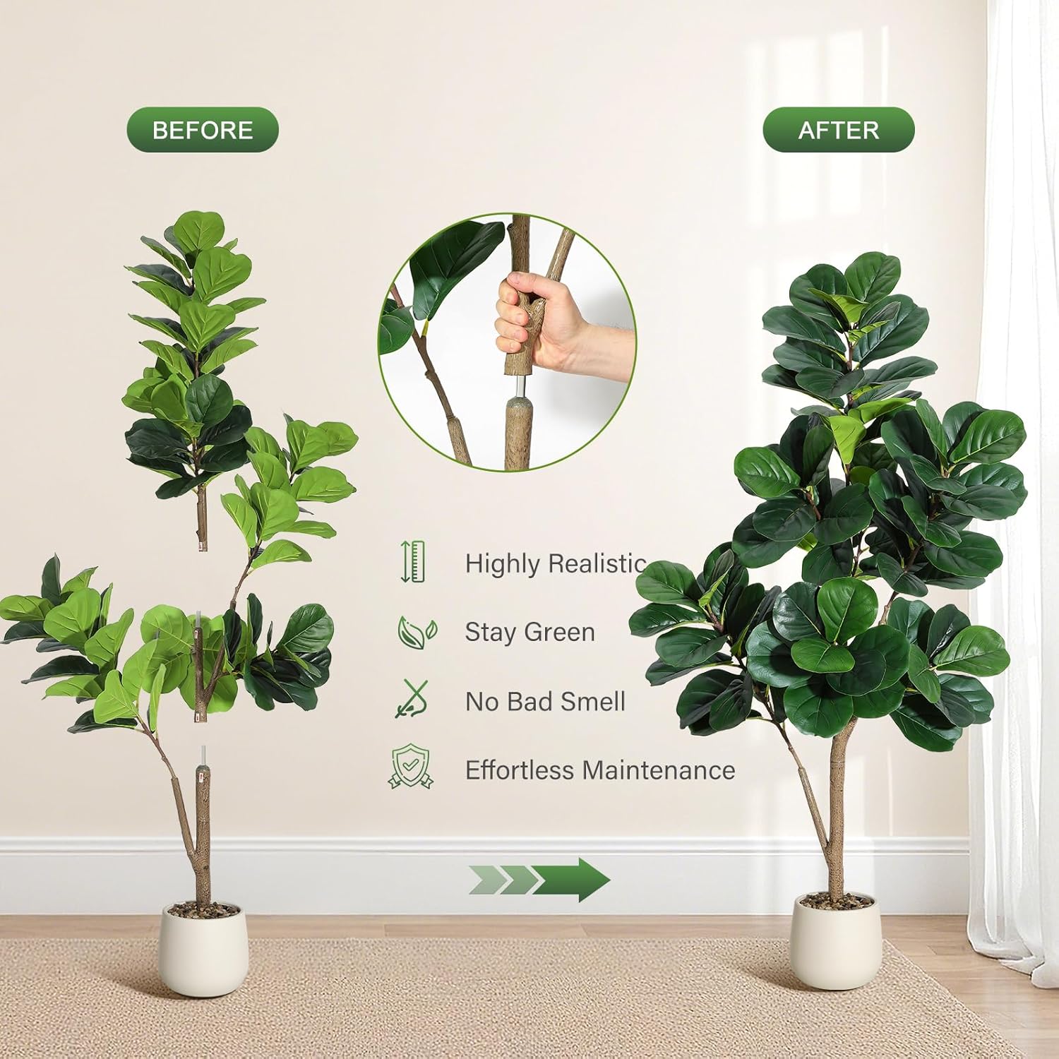 4-7 FT Fiddle Leaf Fig Tree Ar - đánh giá và giá Plant Parents