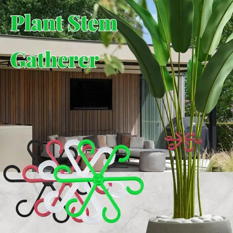 4pcs Climbing Plants Support C - đánh giá và giá Variegated Monstera Node