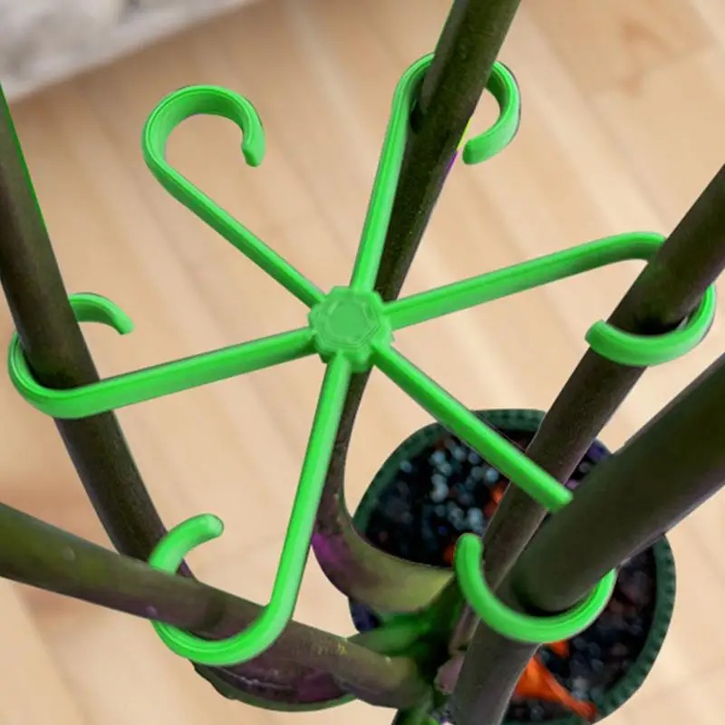 4pcs Climbing Plants Support C - đánh giá và giá Variegated Monstera Node