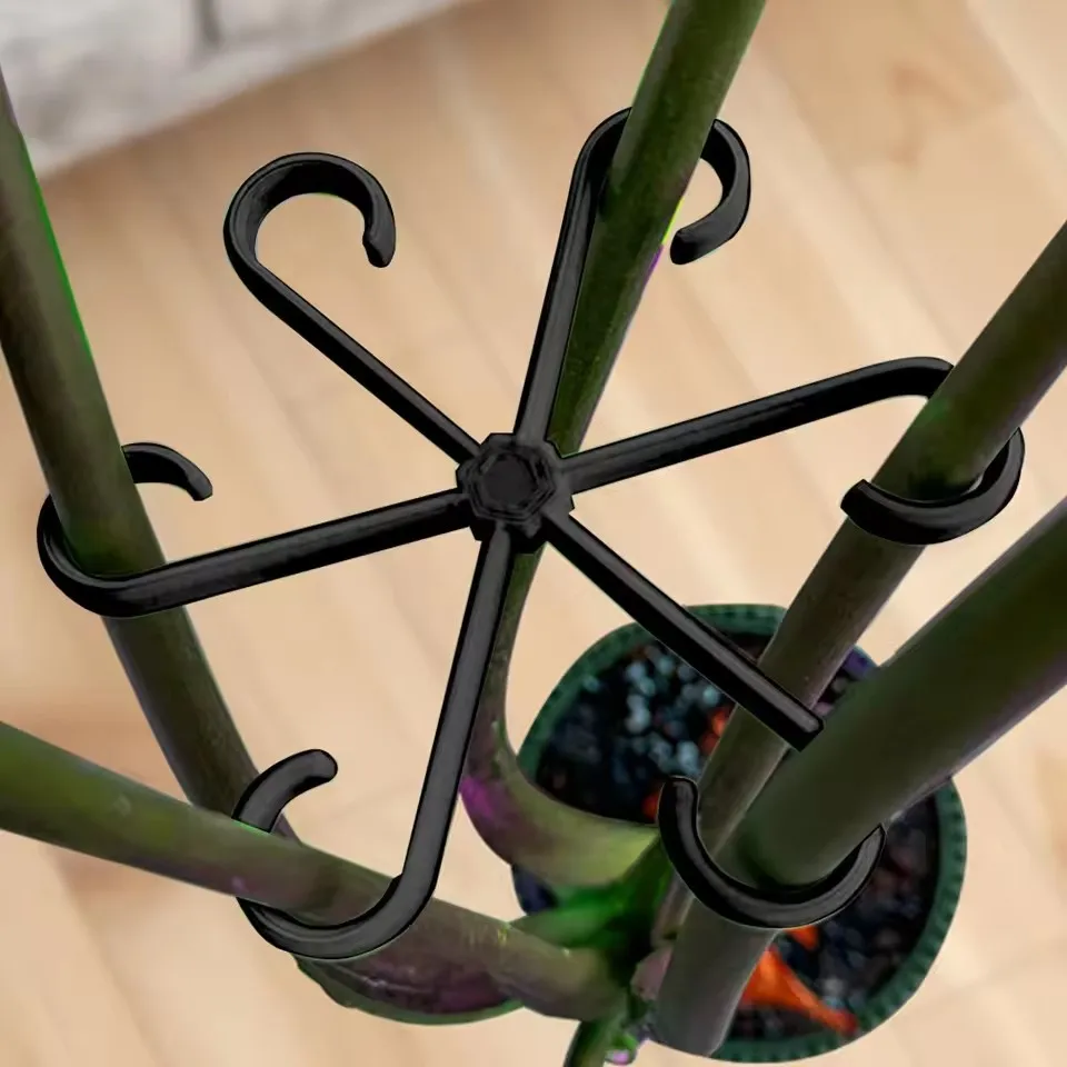 Stem Support Alocasia Monstera - đánh giá và giá Variegated Monstera Node