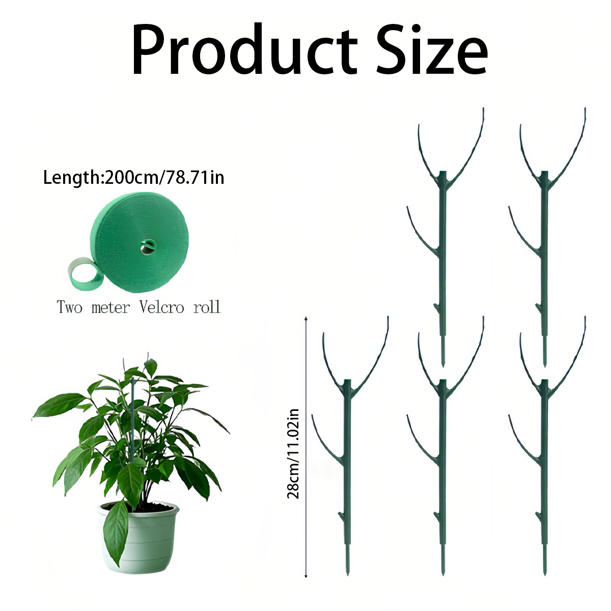6 PCS Monstera Plant Support S - đánh giá và giá Variegated Monstera Node