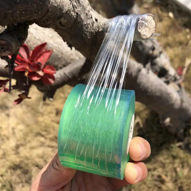 Plant Grafting Specific Film E - đánh giá và giá Plant Parenting