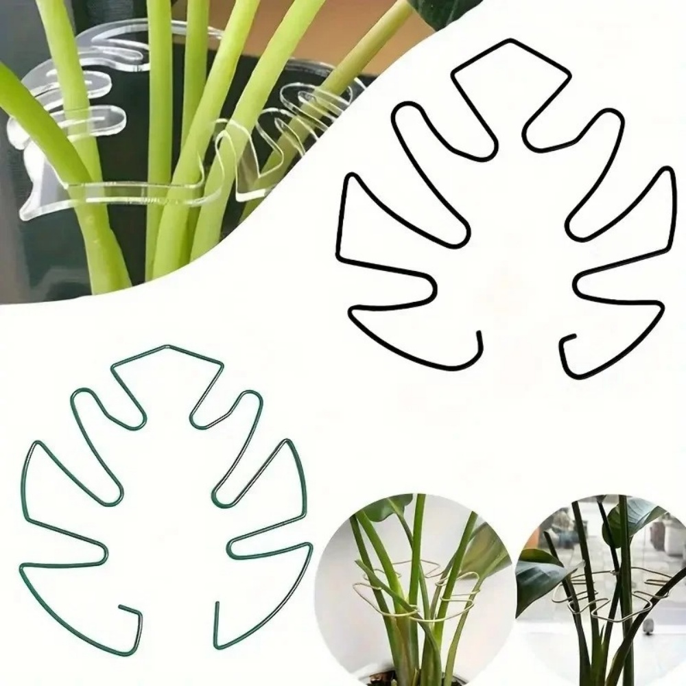 1Pc Large Plant Stand Indoor P - đánh giá và giá Variegated Monstera Node