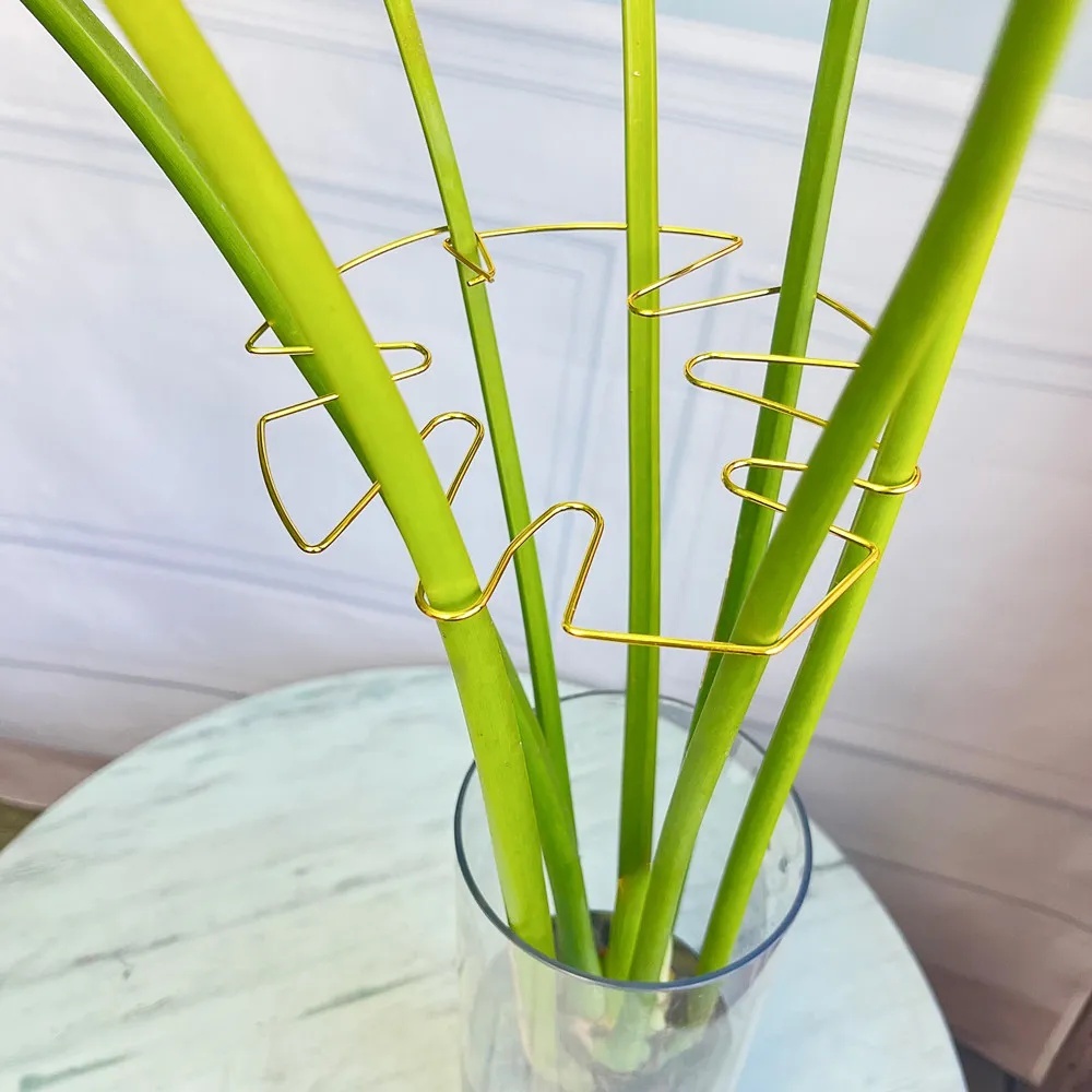 1Pc Large Plant Stand Indoor P - đánh giá và giá Variegated Monstera Node