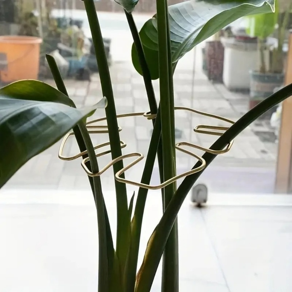 1Pc Large Plant Stand Indoor P - đánh giá và giá Variegated Monstera Node
