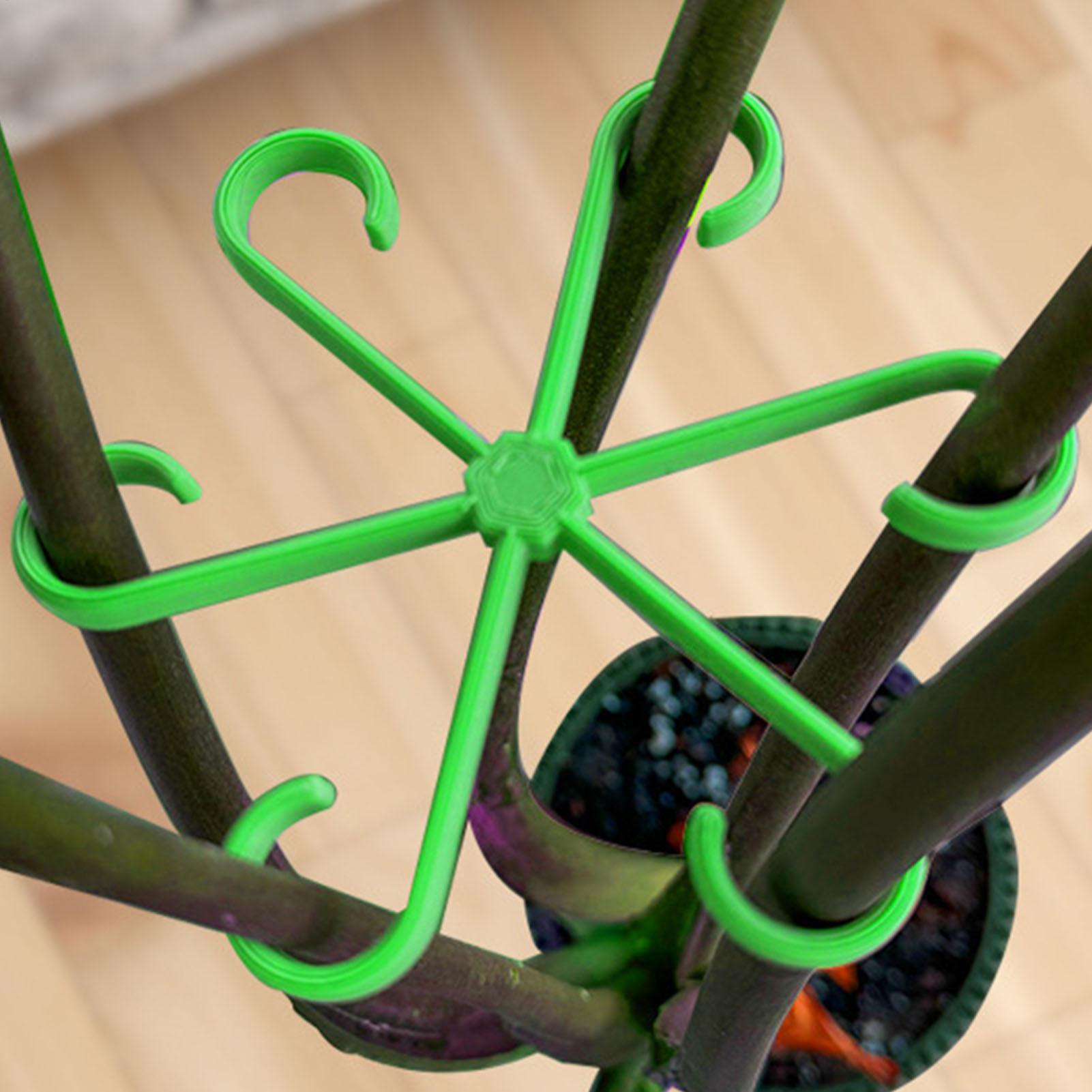 4Pcs Plants Stem Support Clips - đánh giá và giá Variegated Monstera Node