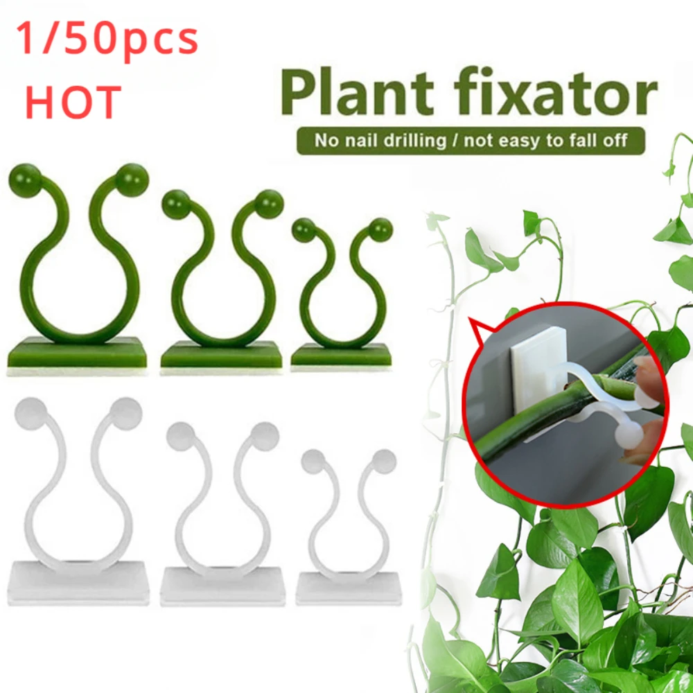 1/30/50Pcs For Garden Accsesor - đánh giá và giá Plant Parents