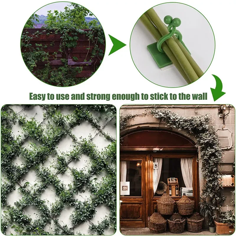 1/30/50Pcs For Garden Accsesor - đánh giá và giá Plant Parents