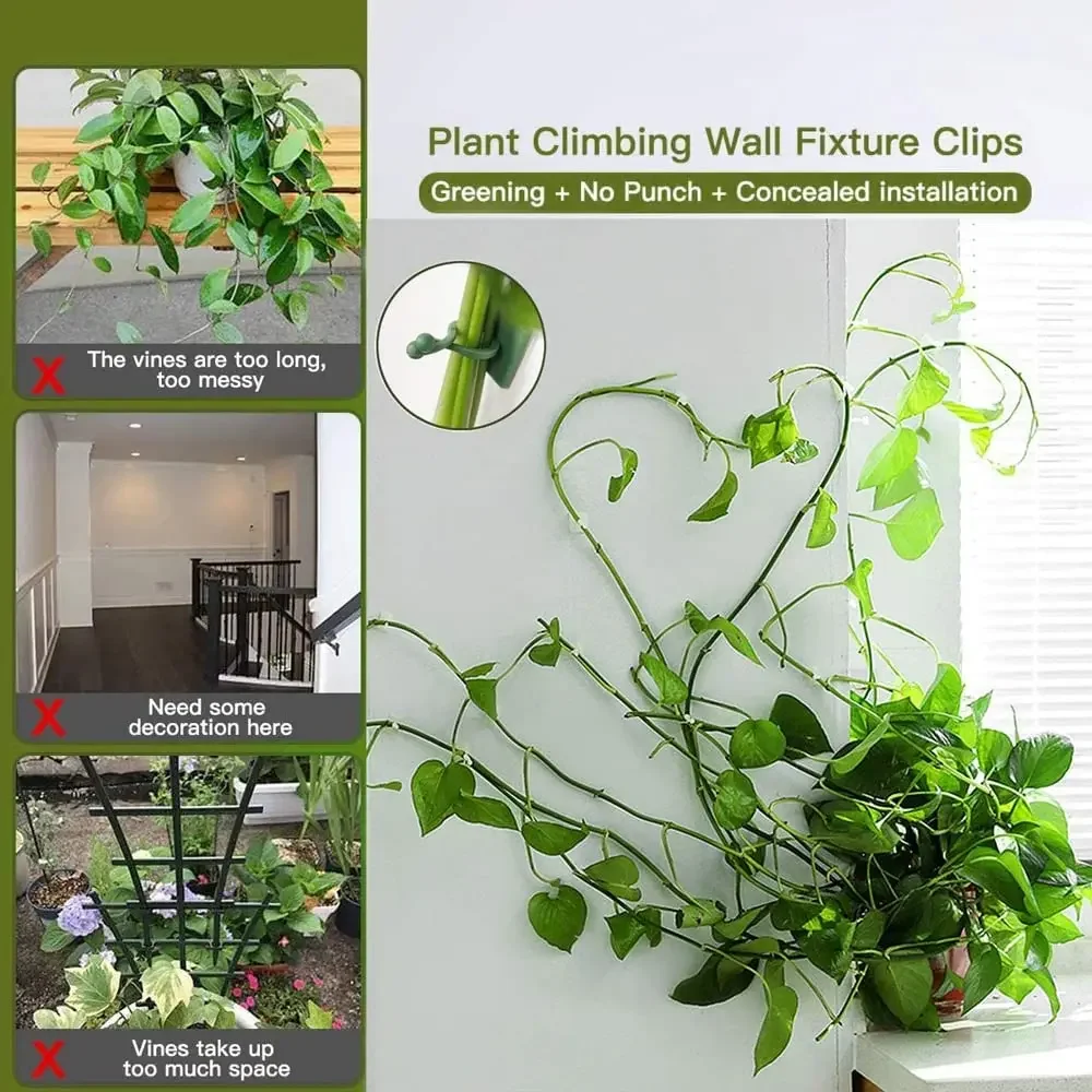 1/30/50Pcs For Garden Accsesor - đánh giá và giá Plant Parents