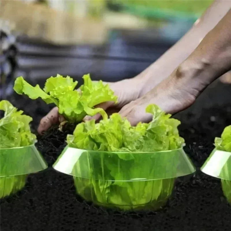 Plants Slug Protection Rings V - đánh giá và giá Plant Parents