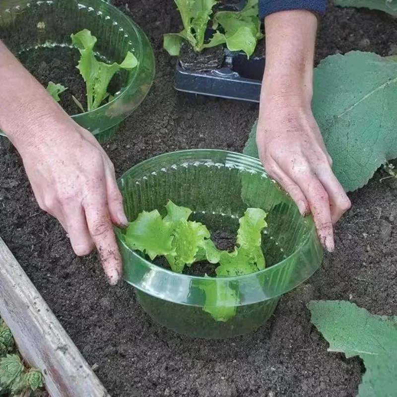 Plants Slug Protection Rings V - đánh giá và giá Plant Parents