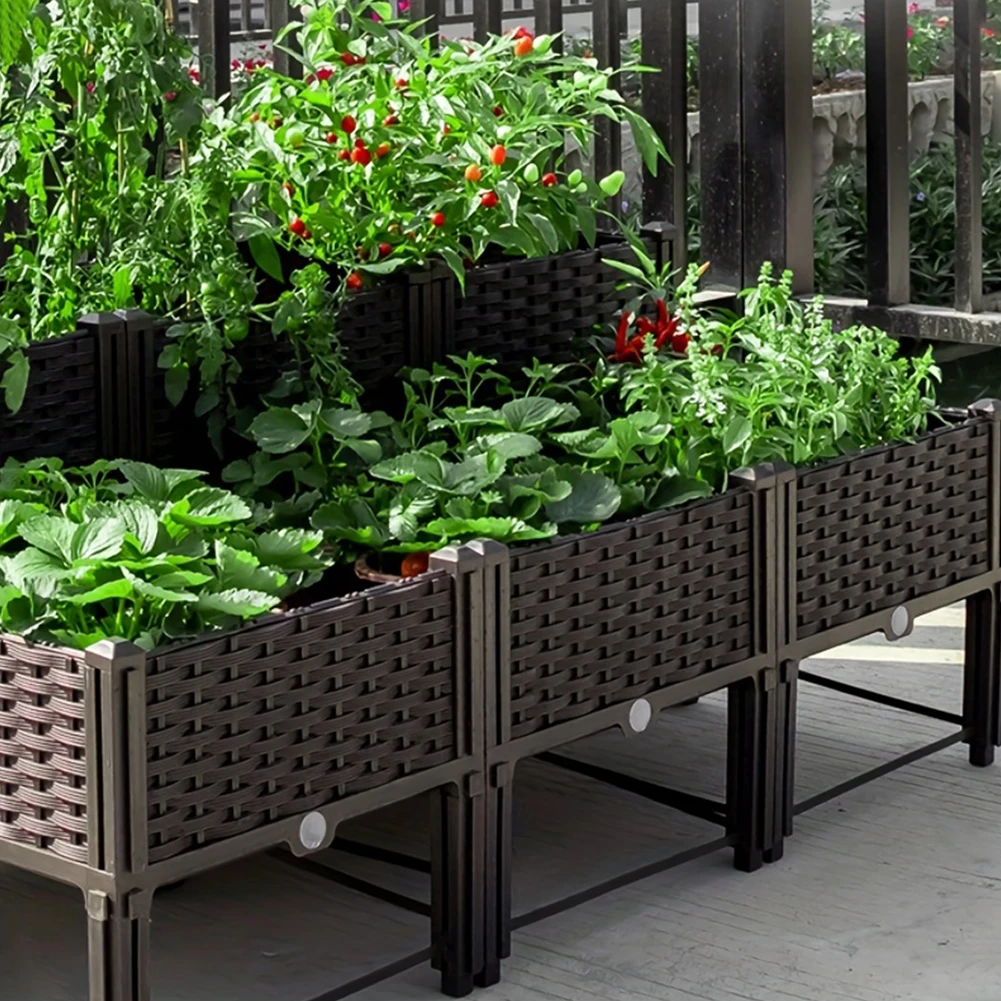 Large Capacity Garden Bed Vege - đánh giá và giá Plant Parents