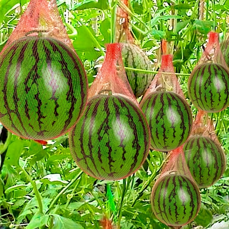 100 pieces of heavy-duty plast - đánh giá và giá Plant Parenting